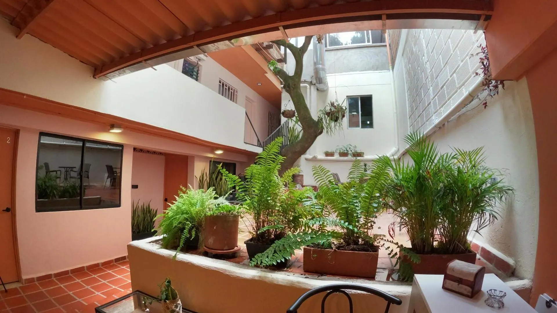 Casa Primavera Hostal Medellin Colombia