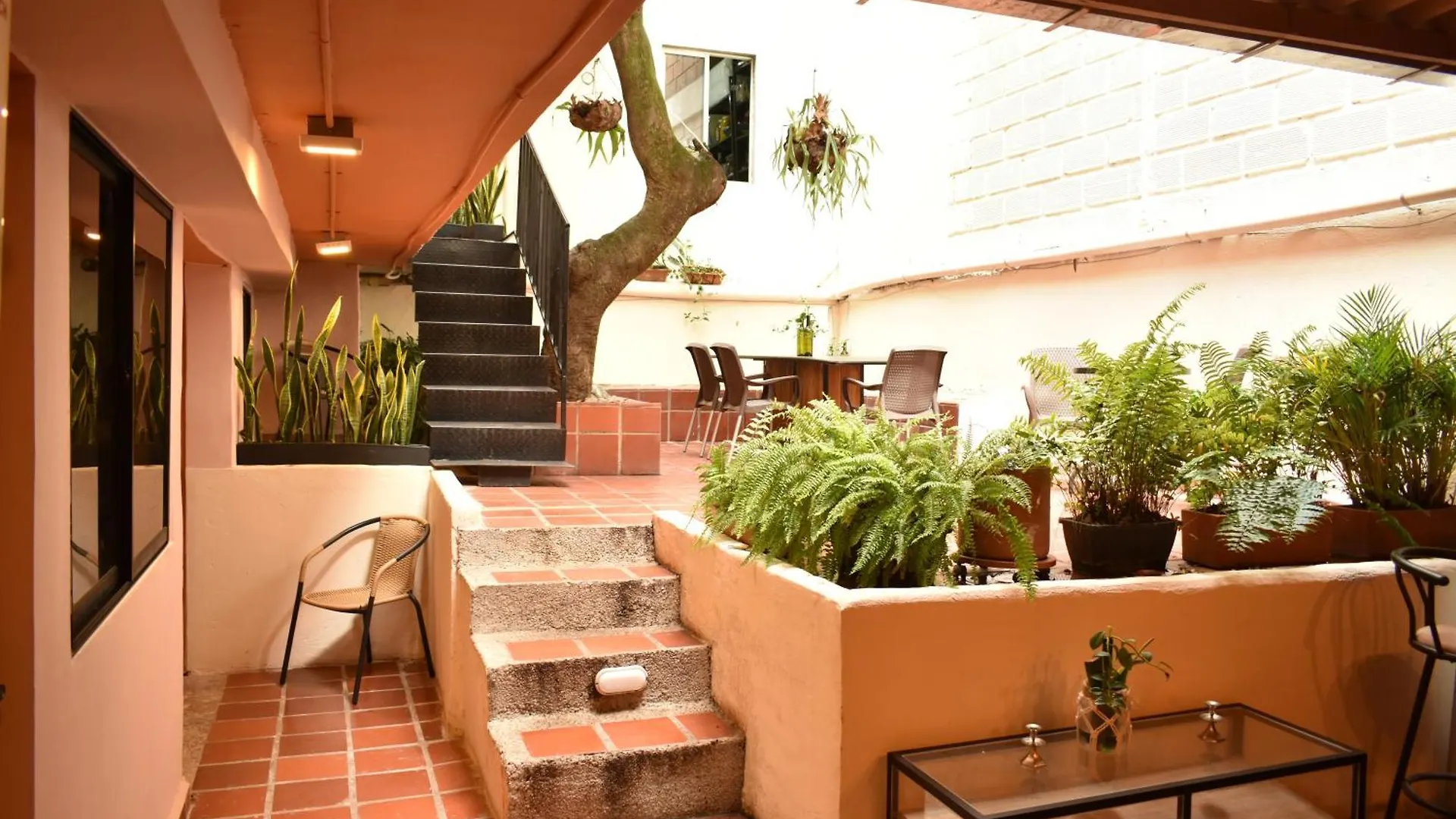 Pensión Casa Primavera Hostal Medellín