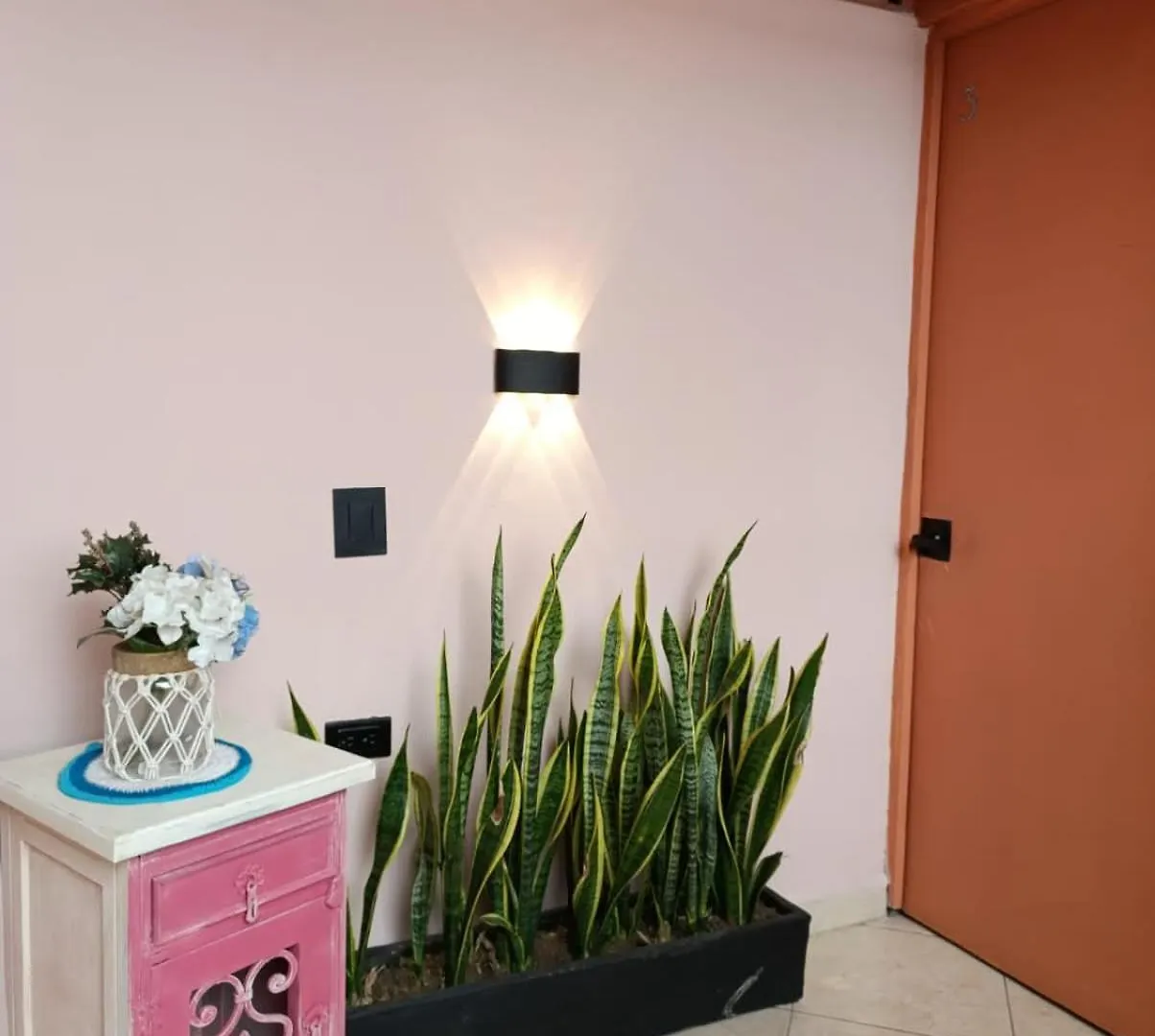 Pensión Casa Primavera Hostal Medellín