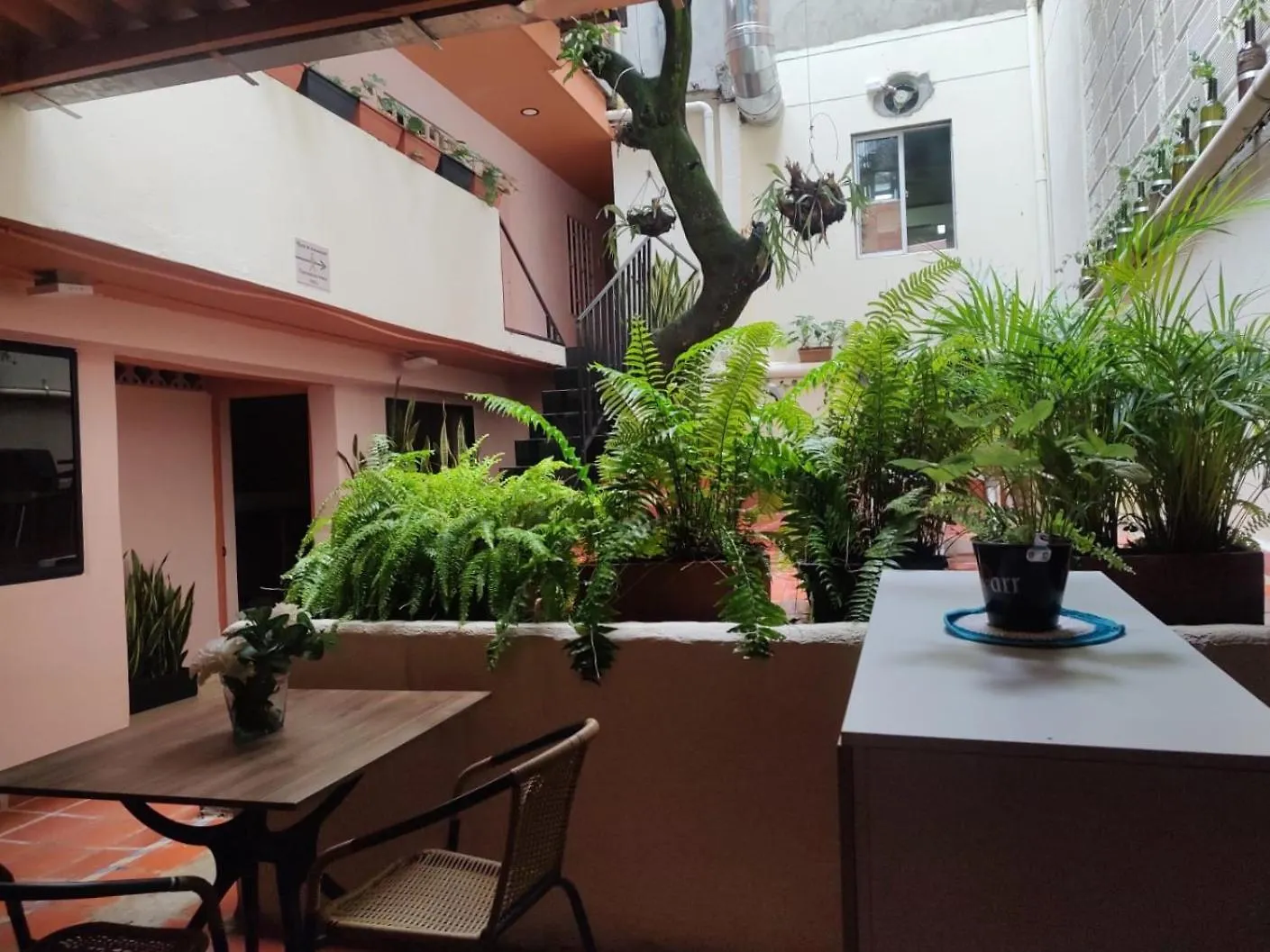 Casa Primavera Hostal Medellín Colombia