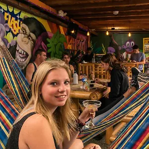 Purple Monkey Auberge de jeunesse